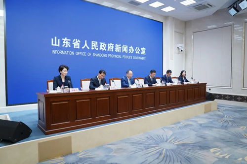 以“一業(yè)一策”精準施策，賦能湛江軟件開發(fā)拓寬國際市場新格局——答記者問